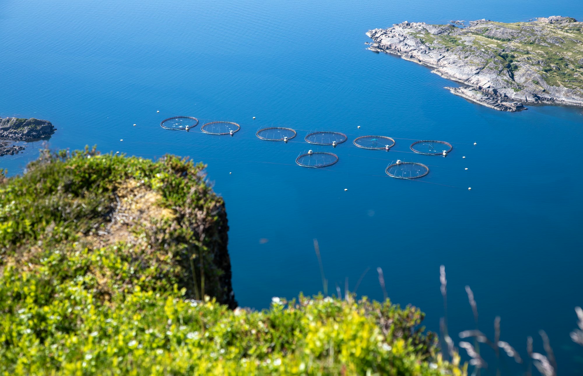 Salmon pens in open water beside a headland